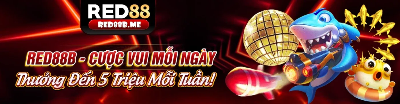 Sân vận động thể thao sôi động với các trận đấu cá cược hấp dẫn